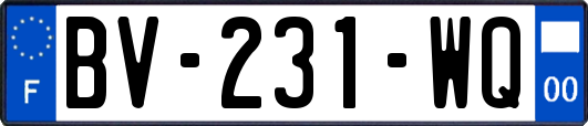 BV-231-WQ