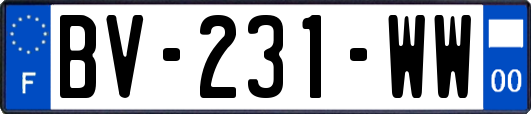 BV-231-WW