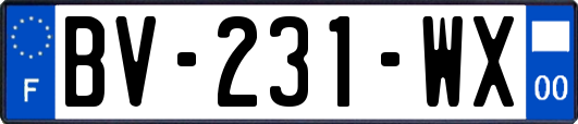 BV-231-WX