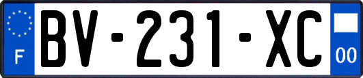 BV-231-XC