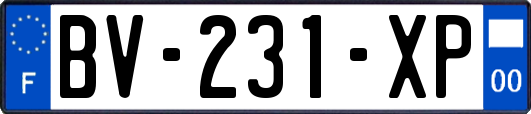 BV-231-XP