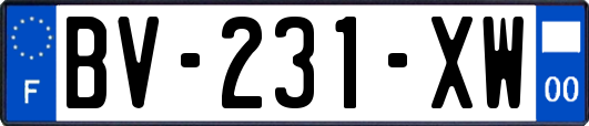 BV-231-XW