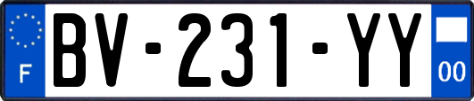 BV-231-YY