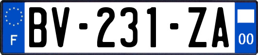 BV-231-ZA