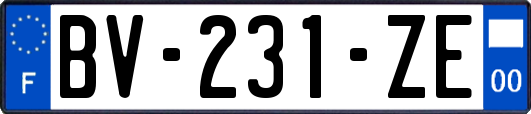 BV-231-ZE