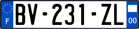 BV-231-ZL