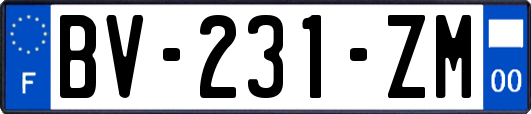 BV-231-ZM