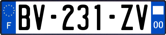 BV-231-ZV