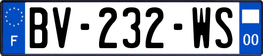 BV-232-WS