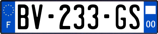 BV-233-GS