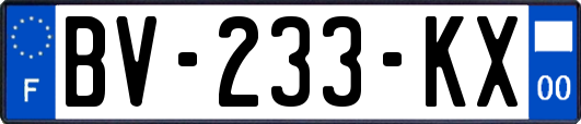 BV-233-KX