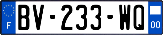 BV-233-WQ