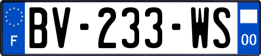 BV-233-WS