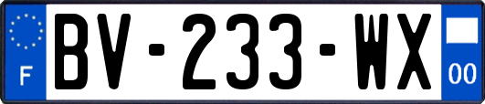 BV-233-WX