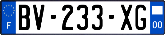 BV-233-XG