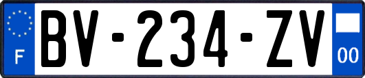 BV-234-ZV