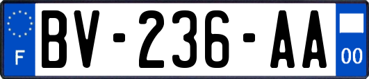 BV-236-AA