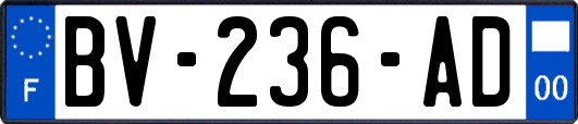 BV-236-AD