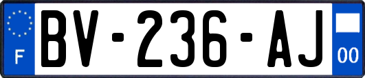 BV-236-AJ