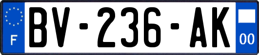 BV-236-AK