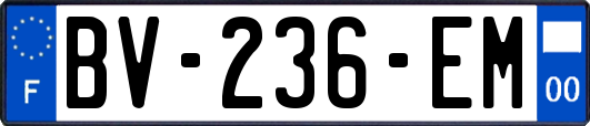 BV-236-EM