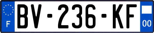 BV-236-KF