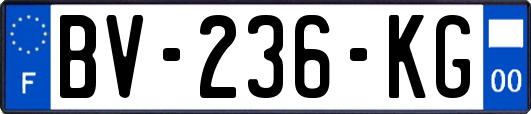 BV-236-KG