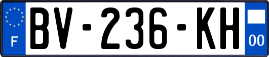 BV-236-KH