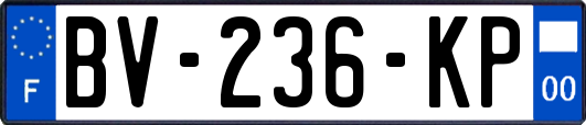BV-236-KP