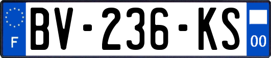 BV-236-KS