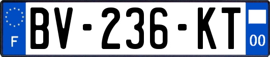 BV-236-KT