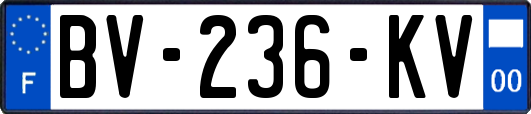 BV-236-KV