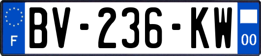 BV-236-KW