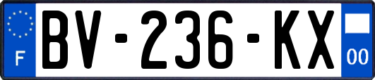 BV-236-KX