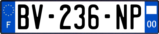 BV-236-NP