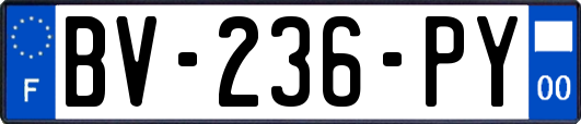 BV-236-PY