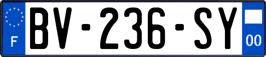 BV-236-SY