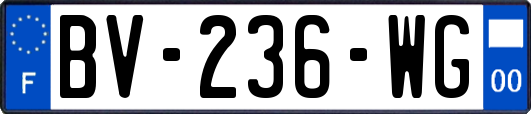 BV-236-WG