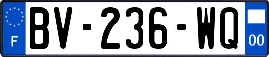 BV-236-WQ