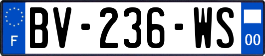 BV-236-WS