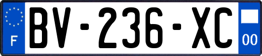 BV-236-XC