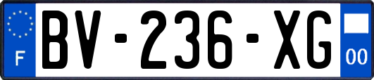 BV-236-XG