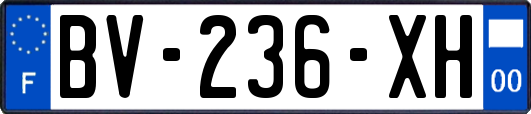 BV-236-XH