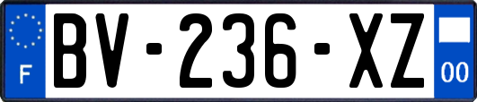 BV-236-XZ