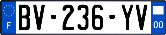 BV-236-YV