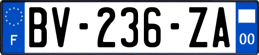 BV-236-ZA