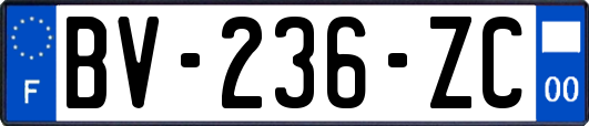 BV-236-ZC