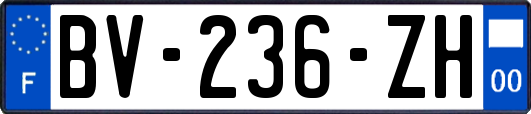 BV-236-ZH