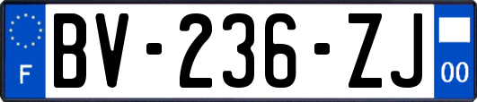 BV-236-ZJ