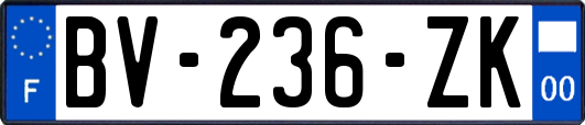 BV-236-ZK